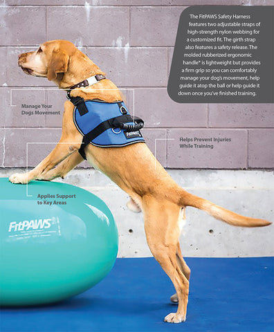 FitPAWS Safety Harness