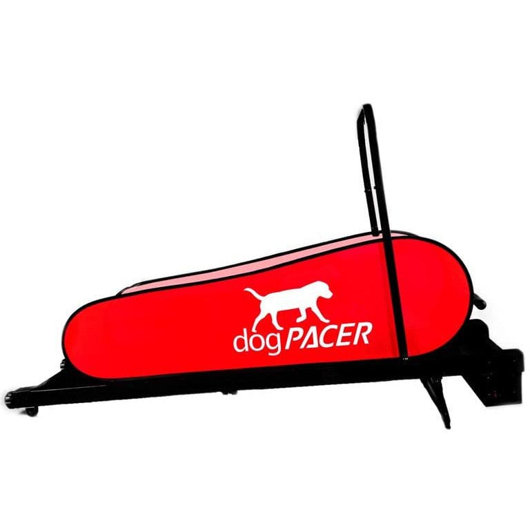 Best Dog Treadmills Buying Guide 2022: Factors to Consider