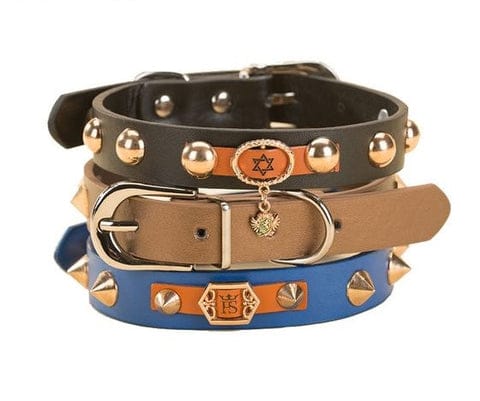 How to Create Personalized Dog Collars That Can Make Your 