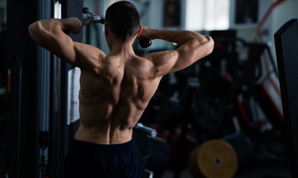 5 Great Exercises for Building Massive Shoulders