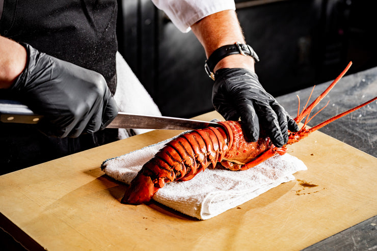 Gloved hands using knife to prepare spiny lobster