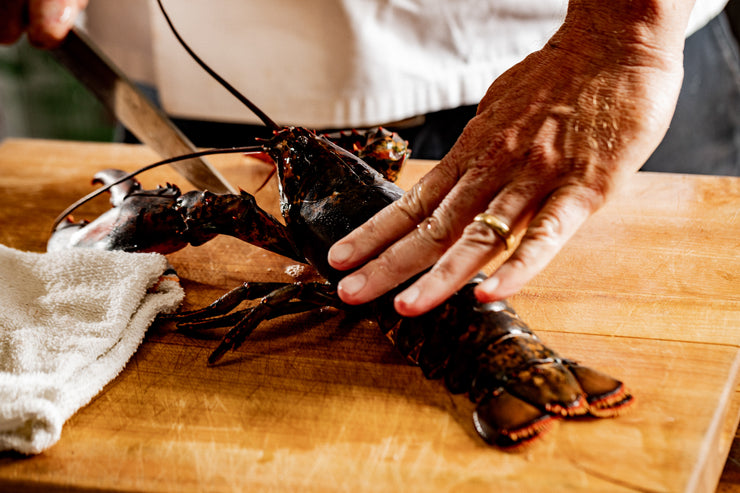 chef demonstrating putting a lobster to sleep before cooking