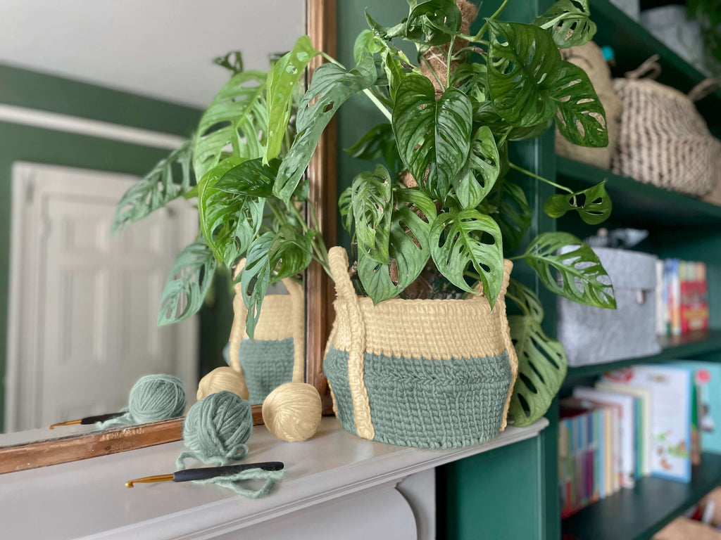 Harvest Moon Basket as a plant pot