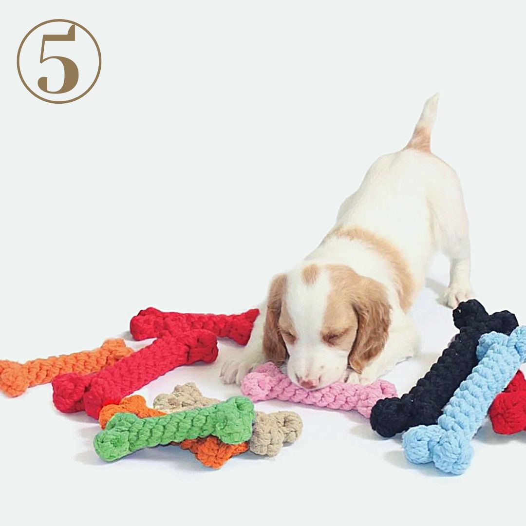 Cotton Rope Dog Toy from Harry Barker