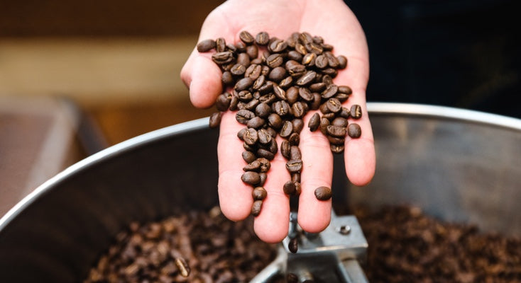New to Specialty Coffee?
                    Here’s a Must-Read for You.