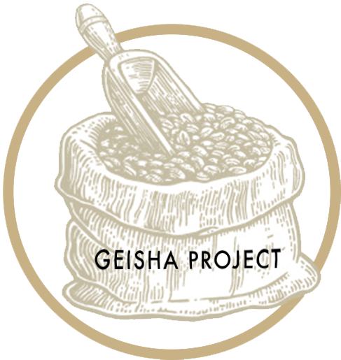 Geisha project