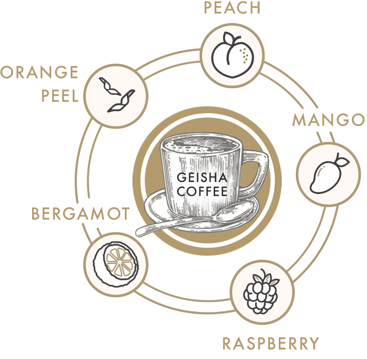 Geisha Coffee flavor