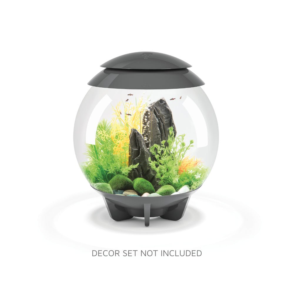 Acquario biOrb Flow 30 Litri 