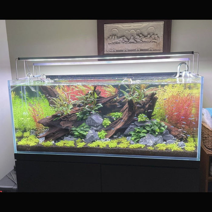 60cm fish tank light