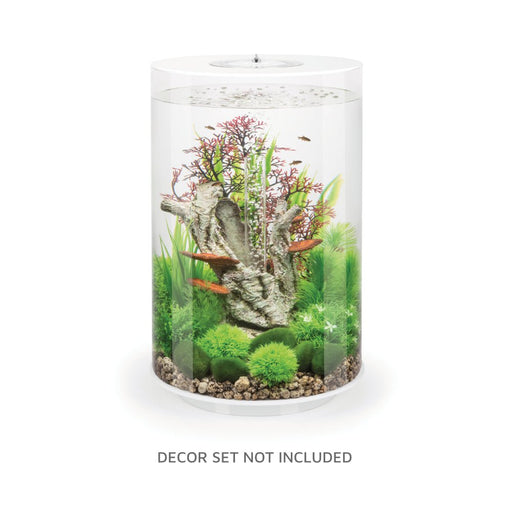 biOrb FLOW 30 Aquarium (MCR - Multi-Color Remote) — East Ocean Aquatic