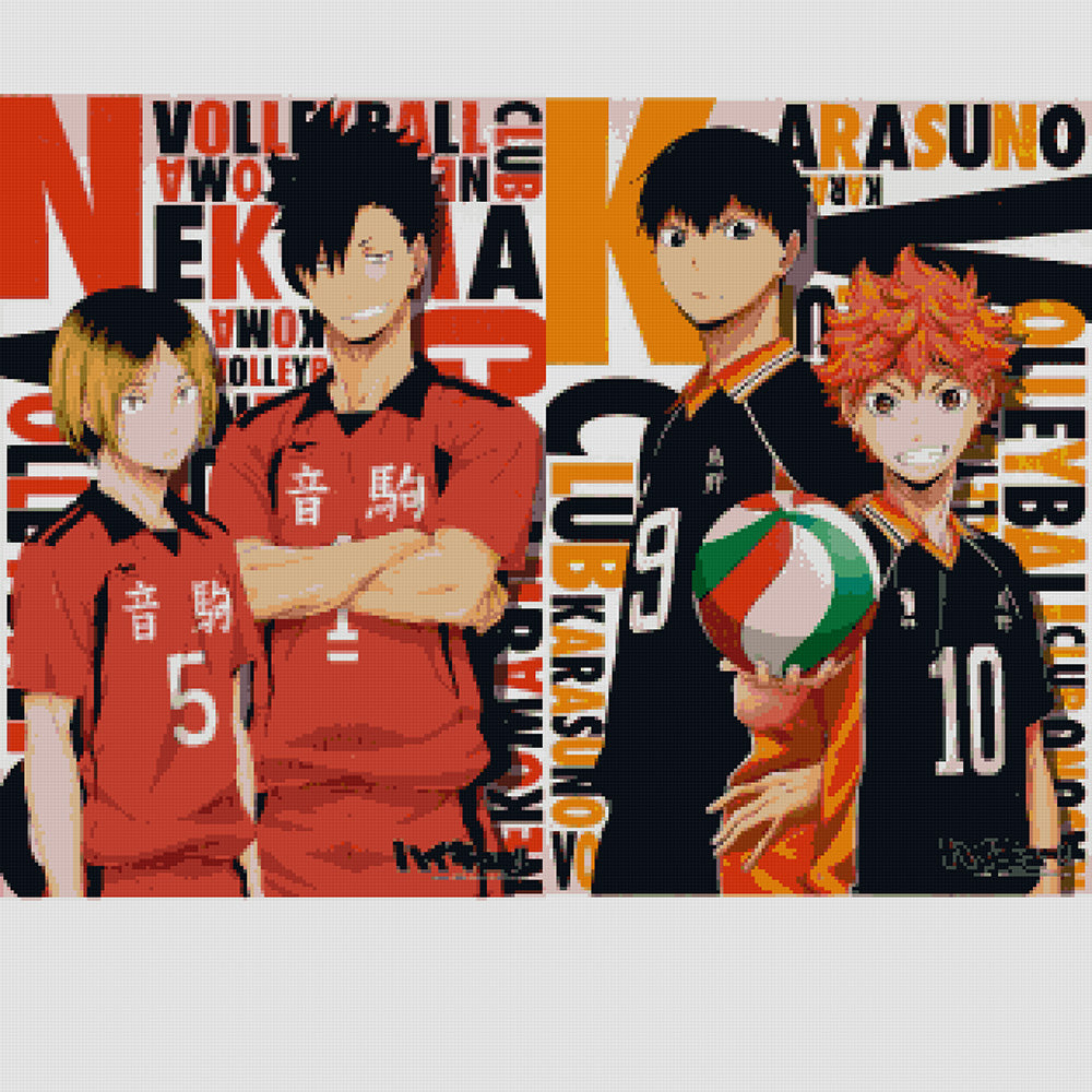 Haikyuu!! Nekoma High & Karasuno High Diamond Painting Kits ...