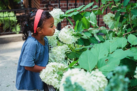 child smelling flowers outdoors