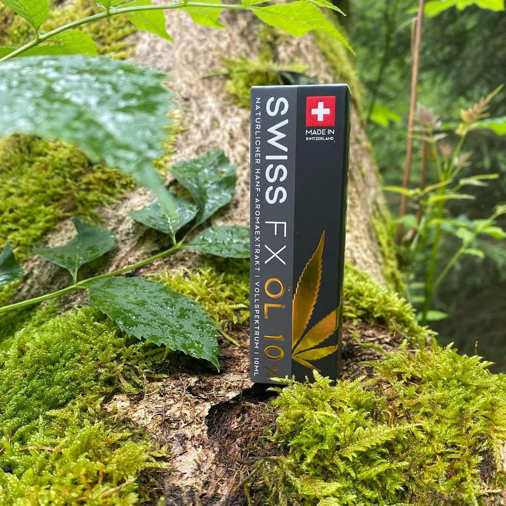 CBD Öl gegen Zecken