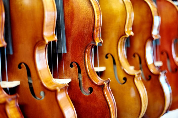 Höfner Violin Display