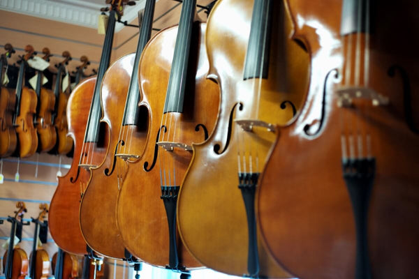 Höfner Violins