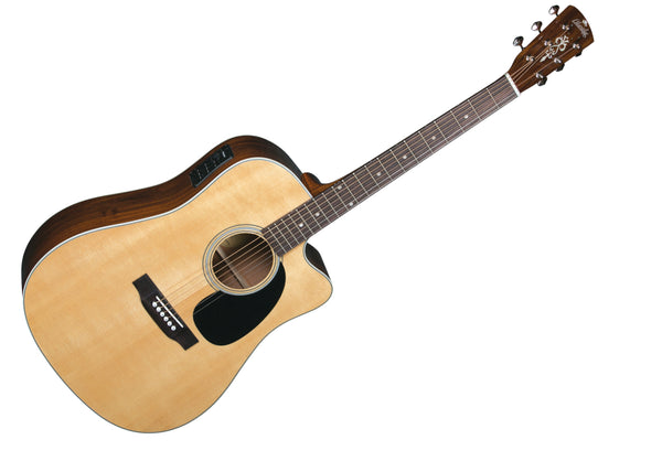 acoustic guitar blueridge