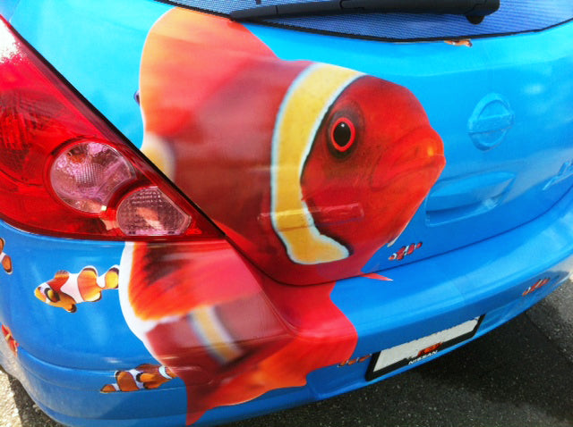 Car Wrap Nemo