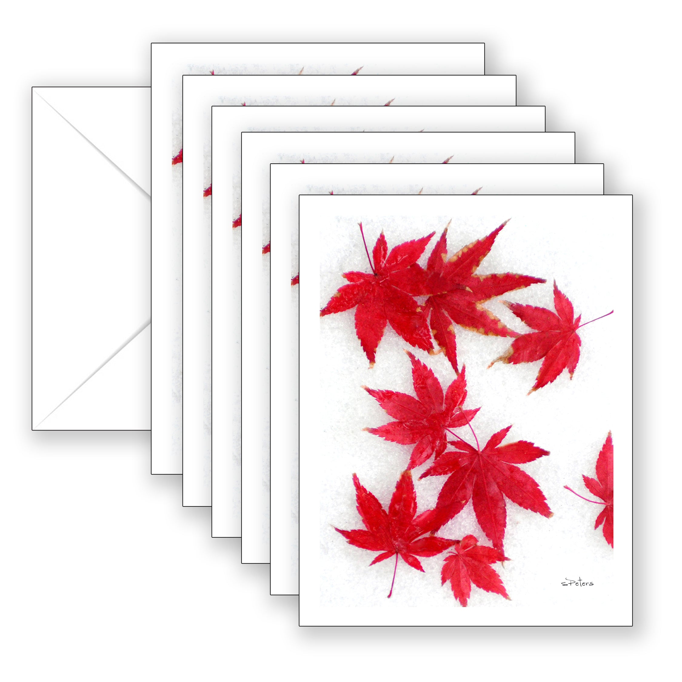 Paper brdberry notecard Paper & Party Supplies