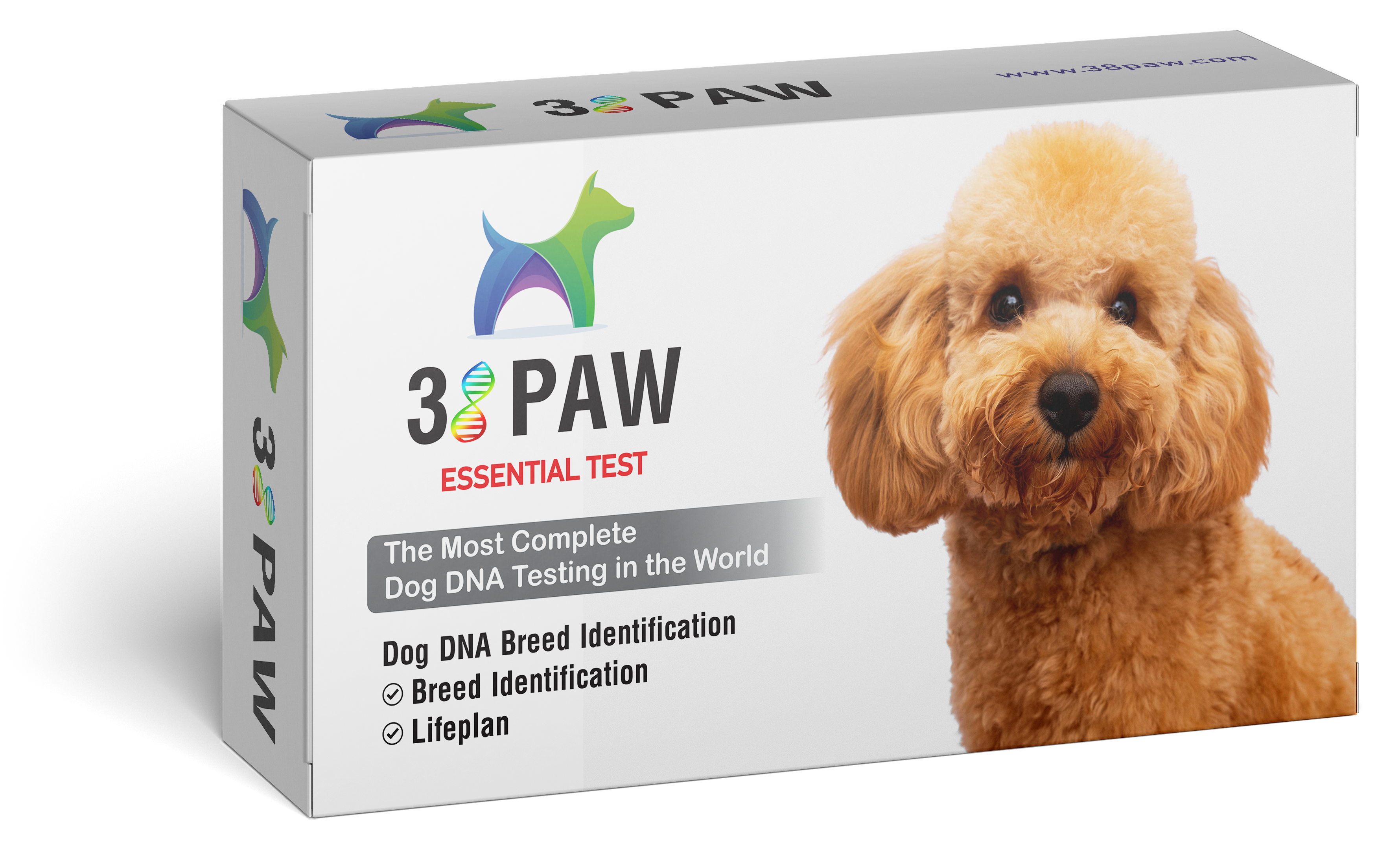 Dog DNA Breed Identification - 38 Paw product image