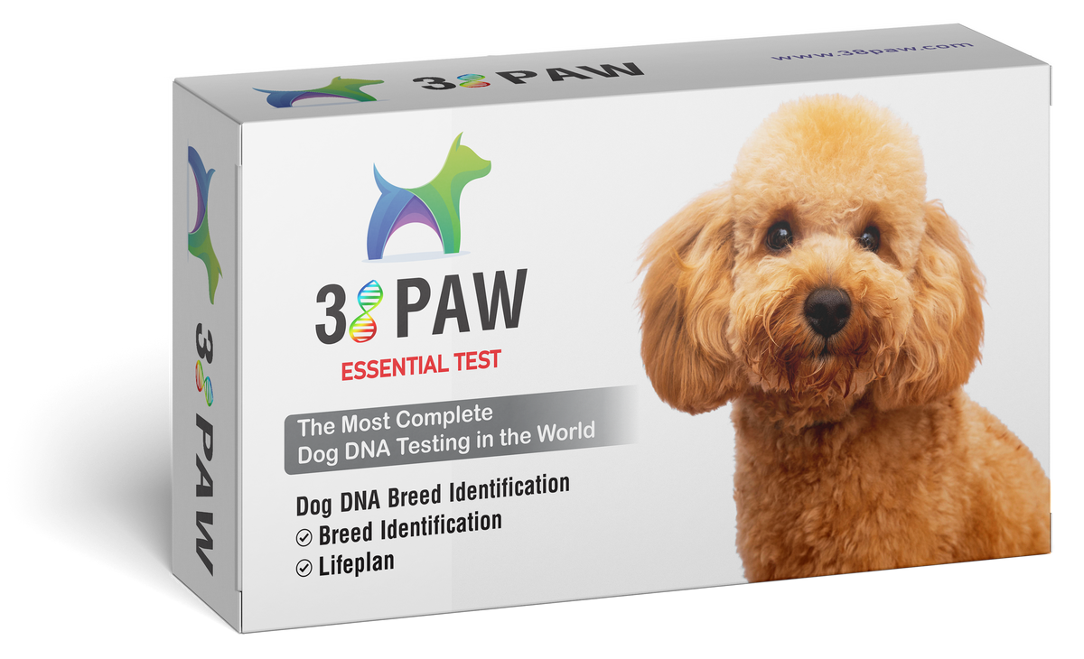 Dog DNA Breed Identification – 38 Paw