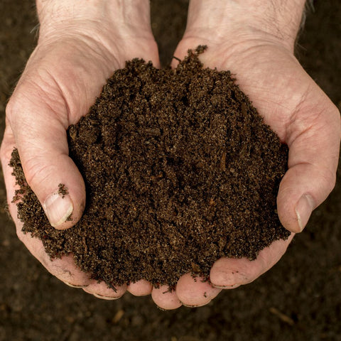 Composting from seaweed is great for the garden. How to compost seaweed.