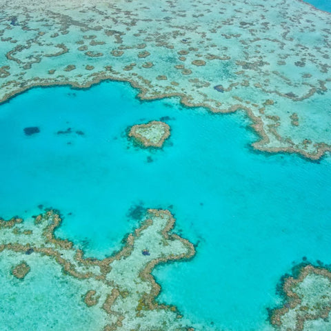 Great Barrier Reef Australia. World Oceans Month in June. Save our oceans from plastics.