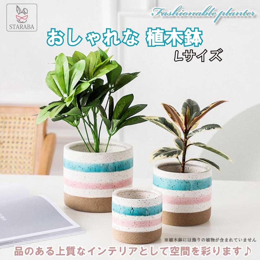 コロンと可愛い ミニ プランター 3個セット 陶器 植木鉢 受け皿付き 北欧風 観葉植物 サボテン 多肉植物 可愛い DIY お家で楽しく 家庭菜園  - organicfarmermag.com