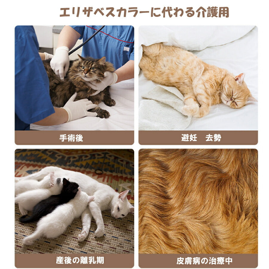 猫用 犬用 術後服 傷舐め 引っかき防止 咬傷 腹部保護 皮膚病対策 通気性 抗菌 防臭 紫外線カットイヌ ネコ キャット 術後着 サステナブルなecサイト サステナモール