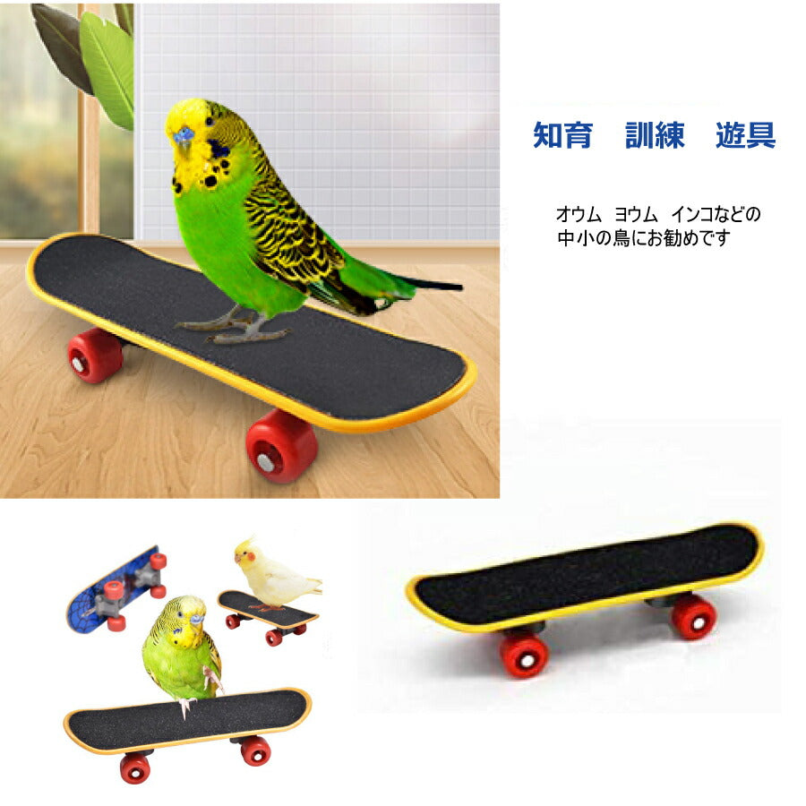鳥用　玩具 ミニ　スケートボード　スケボー　小鳥 ストレス解消  リアル　骸骨