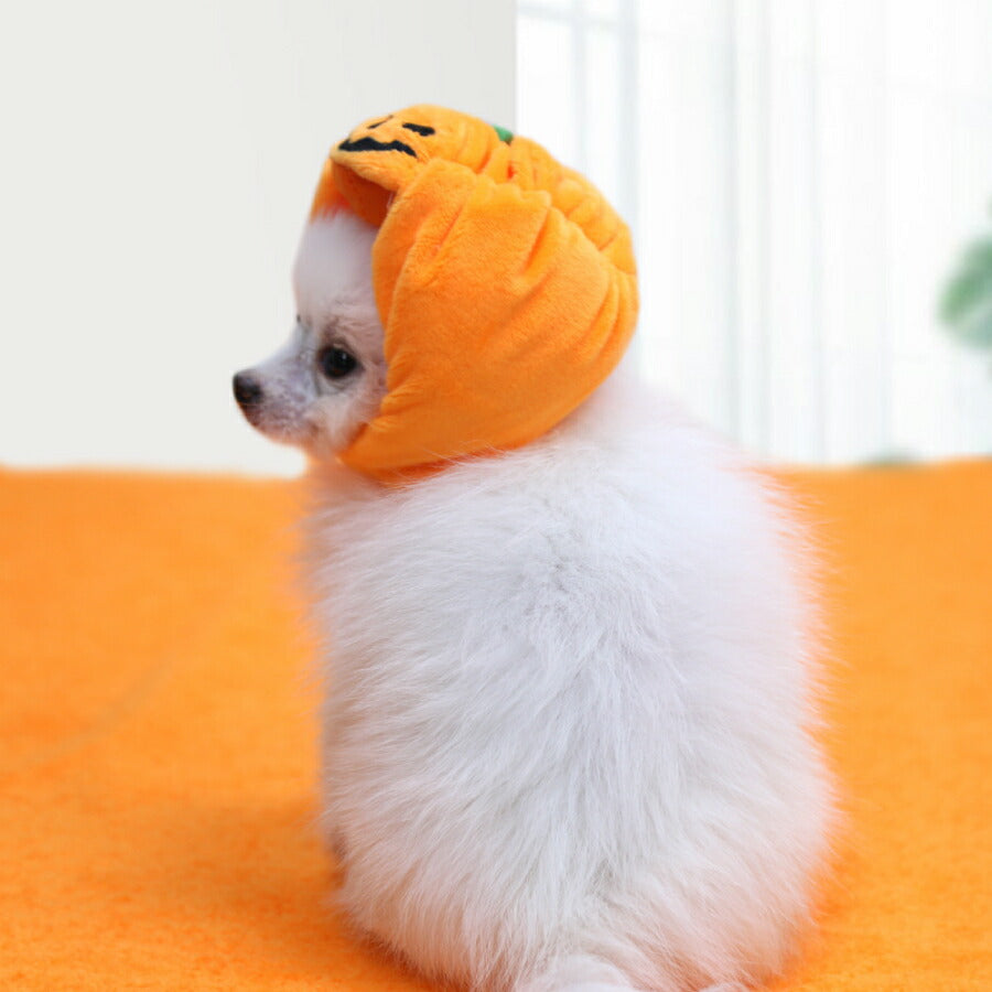 ハロウィン ペット 犬 猫 コスプレ かぼちゃ かわいい 帽子 メール便 サステナブルなecサイト サステナモール
