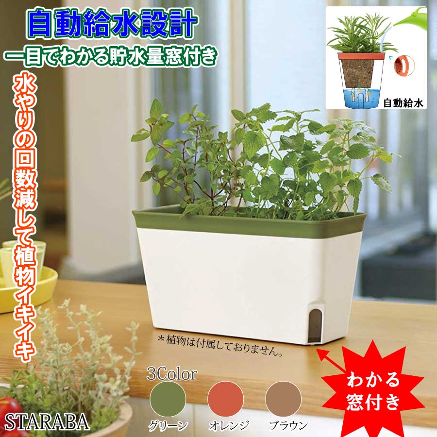 開店祝い T4u プランター 底面給水鉢 横長27cm 植木鉢 プラスチック 給水ヒモ付き 花鉢 ハーブ鉢 観葉植物鉢 野菜栽培 室内用 ベランダ ブラウン 3点セット 大人気新作 Kanematsuusa Com