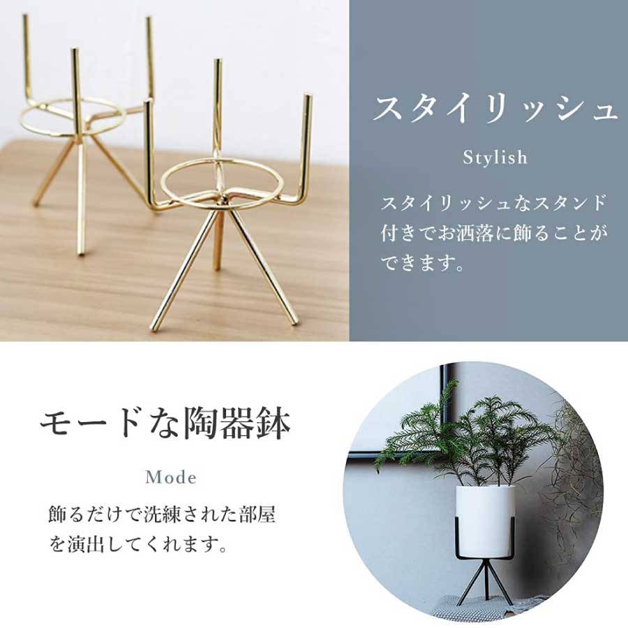 円柱 ３点セット 8cm おしゃれ 多肉植物鉢 サボテン鉢 陶器鉢プランター 観葉植物鉢 インテリア 陶器鉢 スタンド 室内鉢 事務室 北欧 サステナブルなecサイト サステナモール