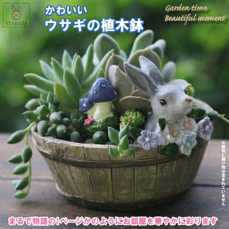 取寄商品 植木鉢ウサギ 多肉植物鉢 サボテン 観葉植物鉢 陶器製2個セット