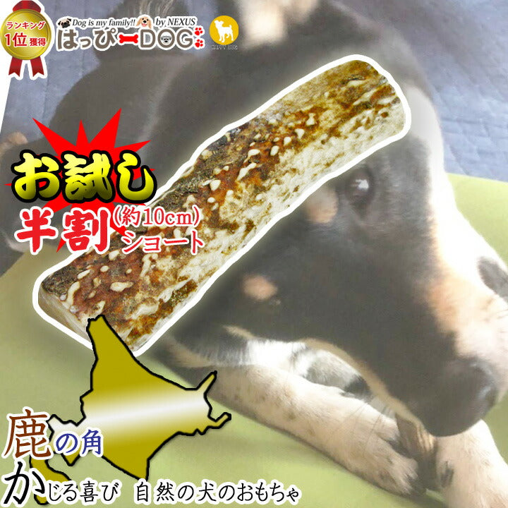 1000円ポッキリ】 [北海道産☆恵の鹿角]【ランキング堂々1位獲得！】 愛犬のおもちゃ 鹿の角 半割 北海道 鹿角 犬のおもちゃ 犬 犬 –  サステナブルなECサイト | サステナモール