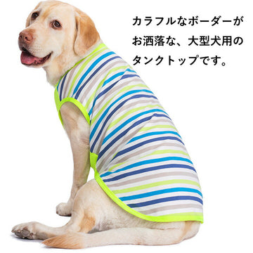 送関込 ボーダー袖の犬の服 | www.kdcow.com