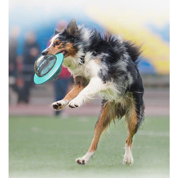 おやつボール 玩具ボール 噛むおもちゃ 餌入り 犬 留守番 ストレス解消 おもちゃ 犬 ボール 運動不足やストレス解消 ダイエット レーニングなど 犬遊び用
