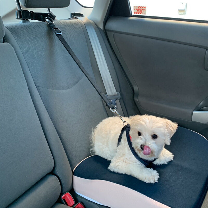 ペット用 シートベルト ドライブ 車 ブラック 調節可能 安全ベルト 新品