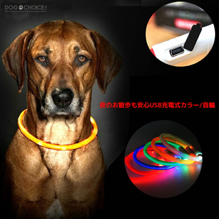 80%OFF!】 首輪 LEDライト USB充電 犬 シリコン 夜 散歩ドッグ 色 光る