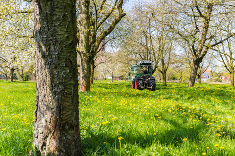 Weber Destillate Traktor Knospen Blüten