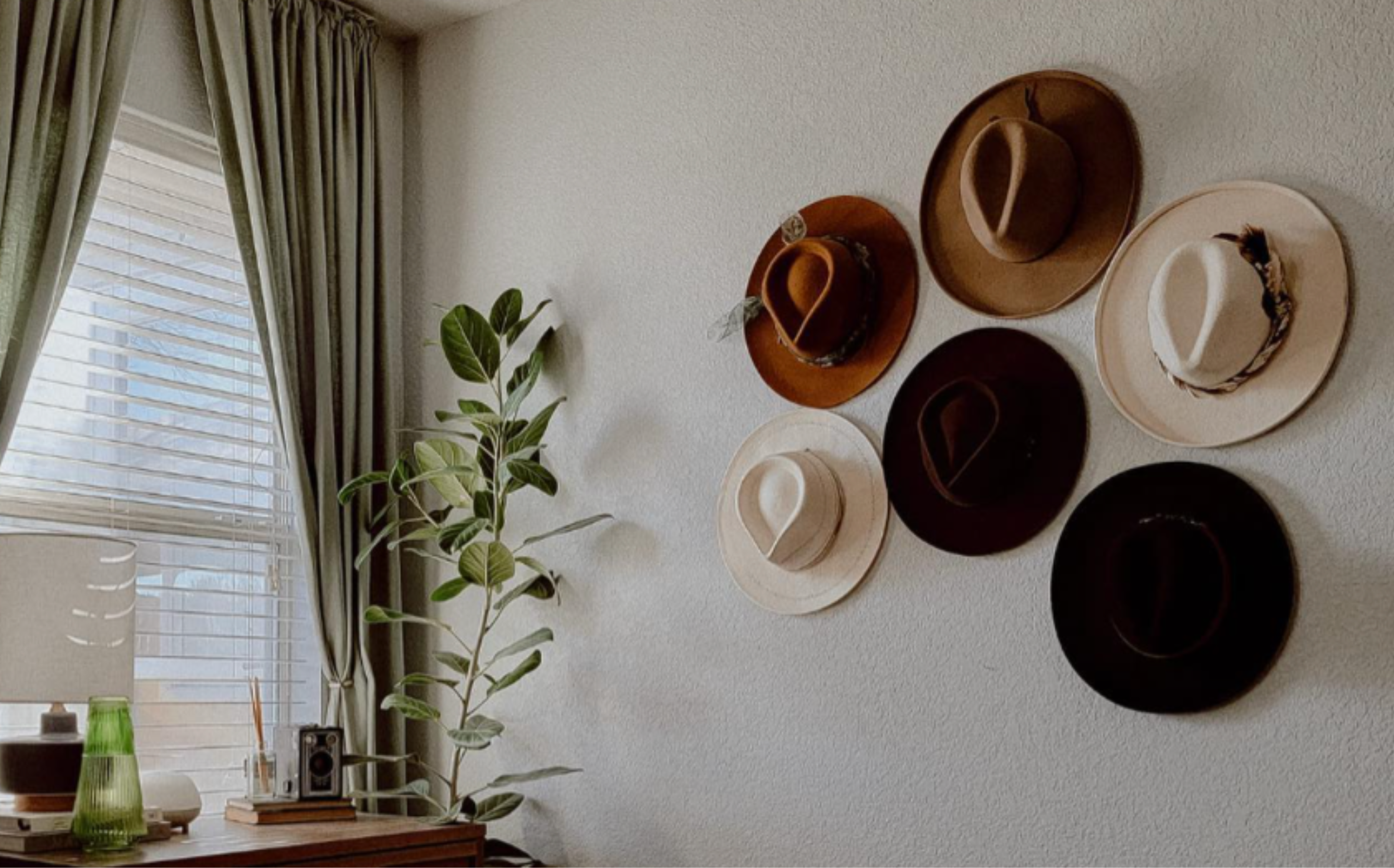A white wall with a hat display featuring six different colored felt hats