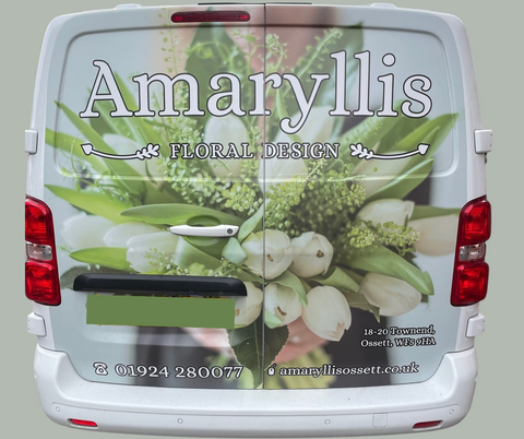 Amaryllis Floral Design