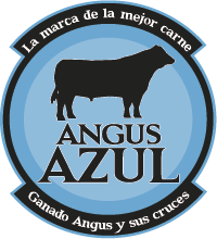 Angus Azul