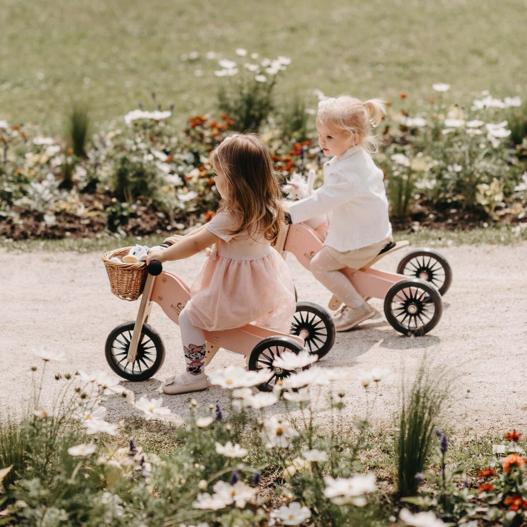 tiny tot balance bike