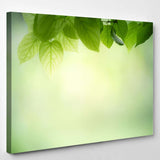 Closeup Nature View Green Leaf On - Canvas Art Wall Decor