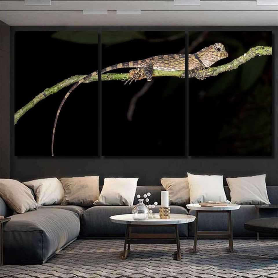 Eyebrow Lizard Borneo Malaysia Canvas Art Wall Decor Fyi Planet