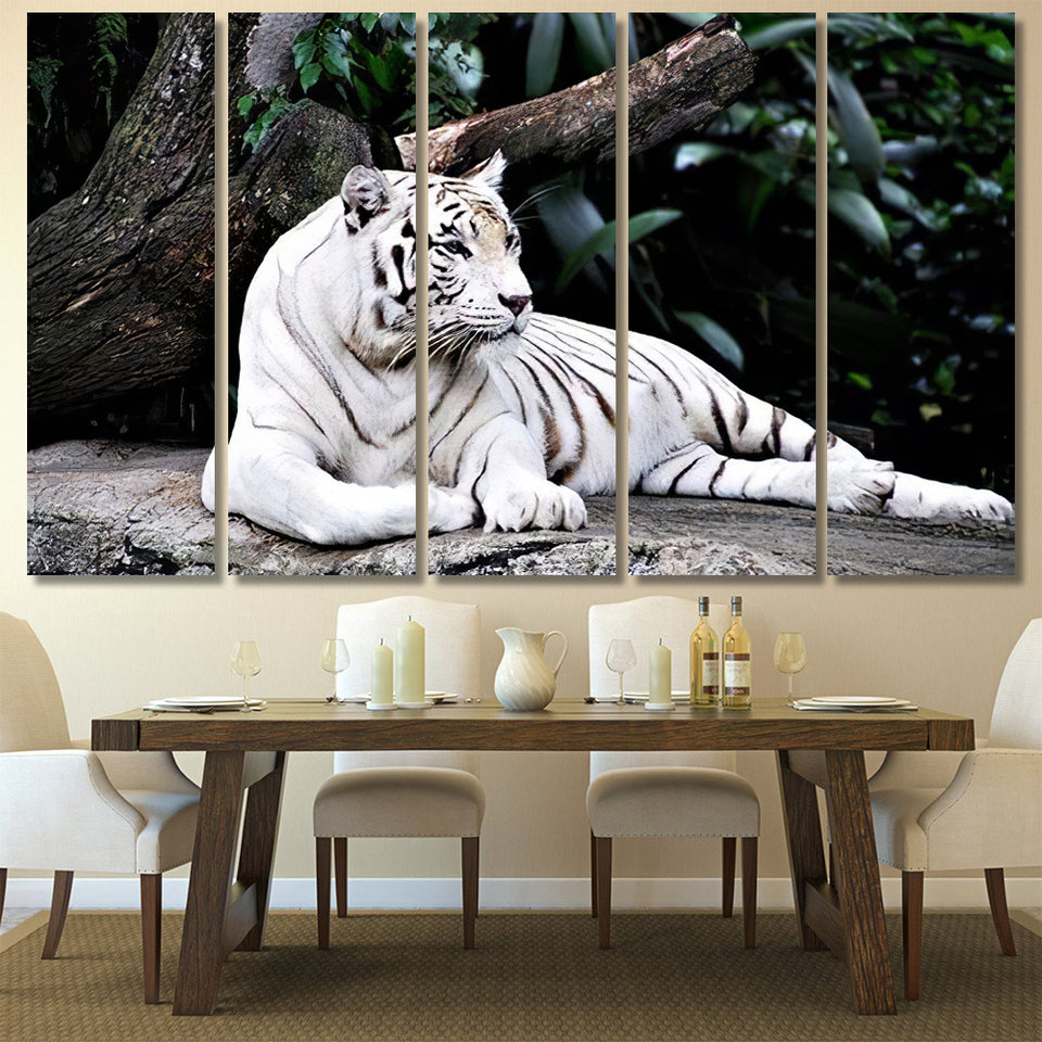 View White Tiger Wandering Around Forest White Tiger Animals