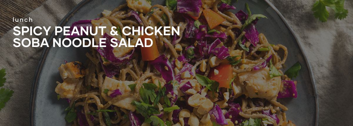 SPICY PEANUT & CHICKEN SOBA NOODLE SALAD