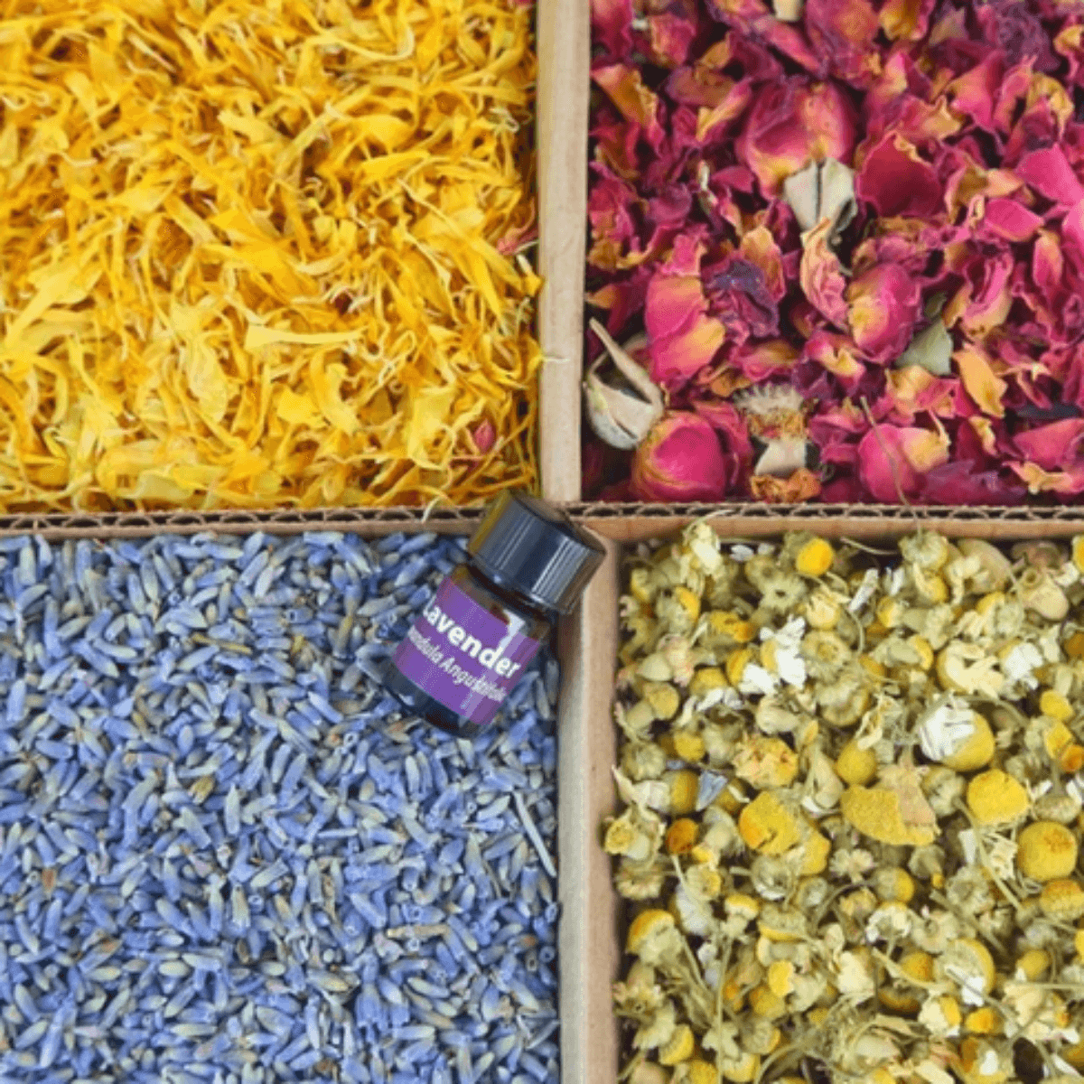 Bulk Botanical Flower Kit (4 pack): Lavender, Marigold, Red Rose Petals and Chamomile