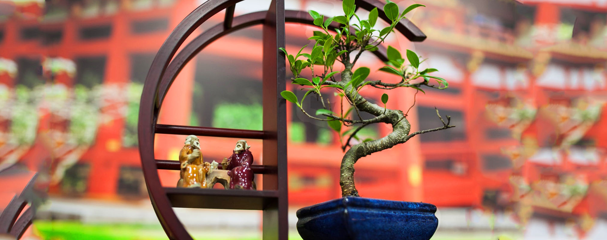 bonsai artificiel botanic