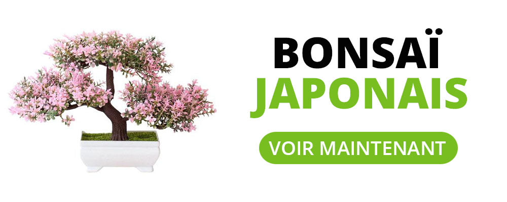 bonsai cerisier du japon